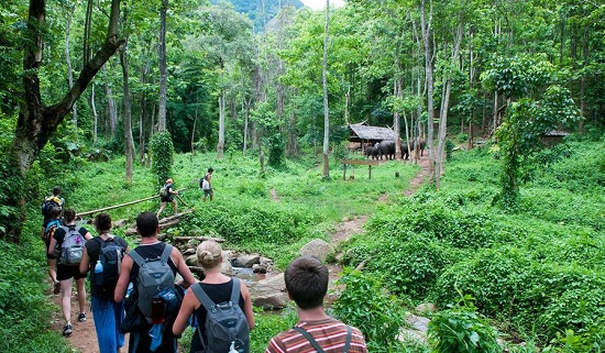 Cho thuê xe 16 chỗ đi du lịch Ninh Bình